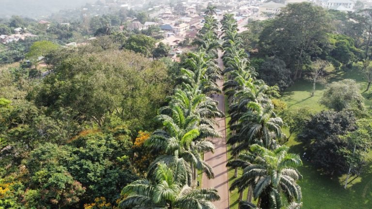 Aburi-Botanical-Gardens-Park-Aburi-Eastern-Region-Ghana-TortoisePath.com-22-768x432
